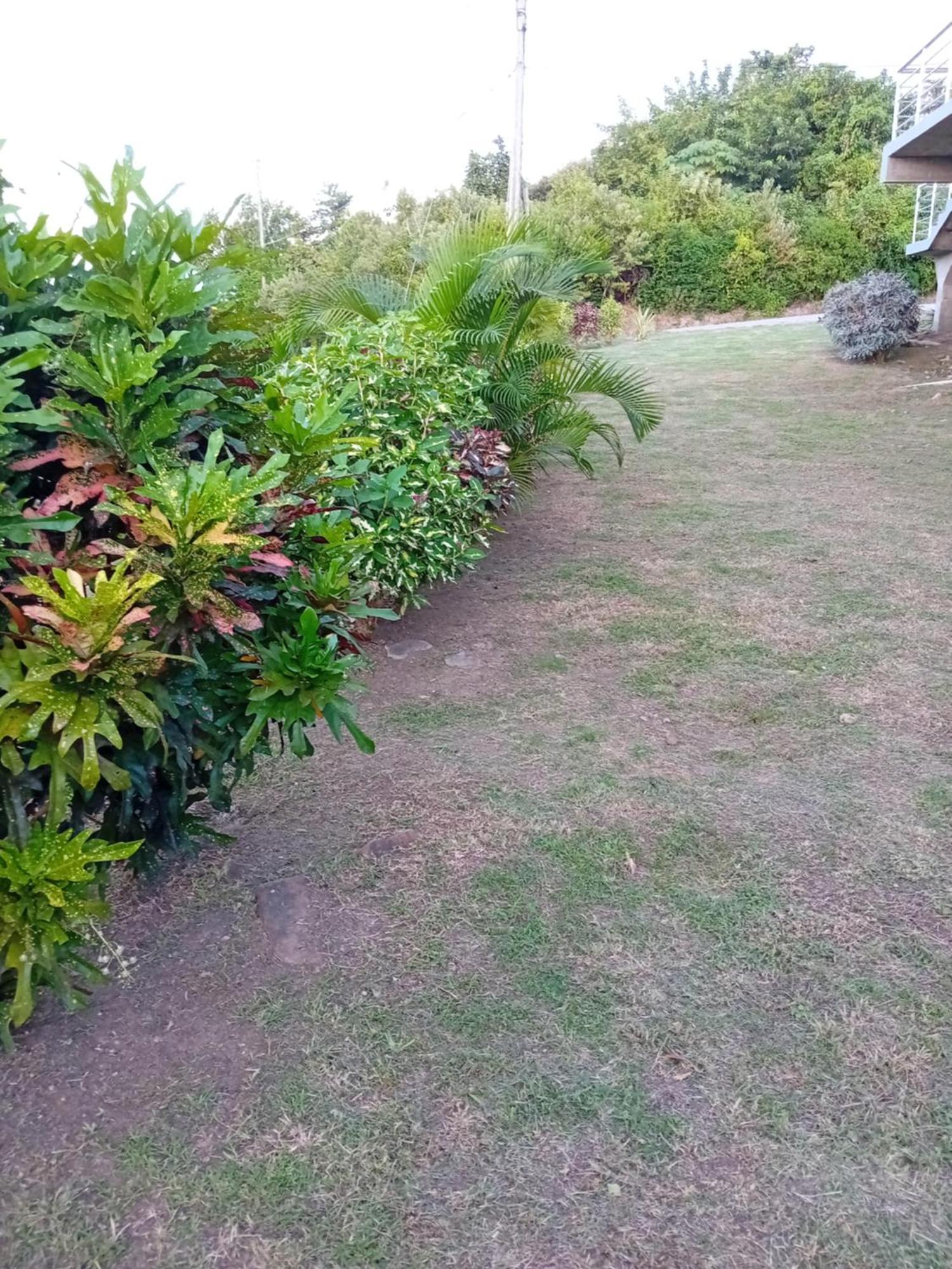 Serenity Seaview Suite Anse La Raye Exterior photo